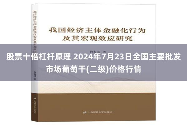 股票十倍杠杆原理 2024年7月23日全国主要批发市场葡萄干(二级)价格行情