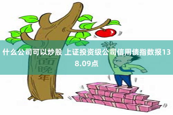 什么公司可以炒股 上证投资级公司信用债指数报138.09点