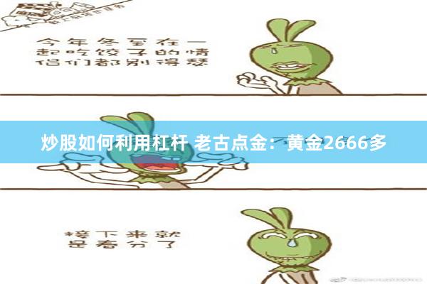 炒股如何利用杠杆 老古点金：黄金2666多