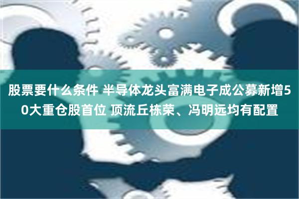 股票要什么条件 半导体龙头富满电子成公募新增50大重仓股首位 顶流丘栋荣、冯明远均有配置