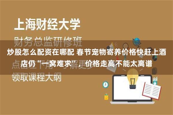 炒股怎么配资在哪配 春节宠物寄养价格快赶上酒店仍“一窝难求”，价格走高不能太离谱