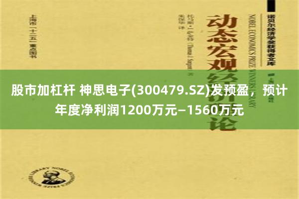 股市加杠杆 神思电子(300479.SZ)发预盈，预计年度净利润1200万元—1560万元